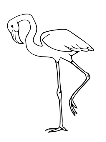 Pink Flamingo Bird Coloring Page